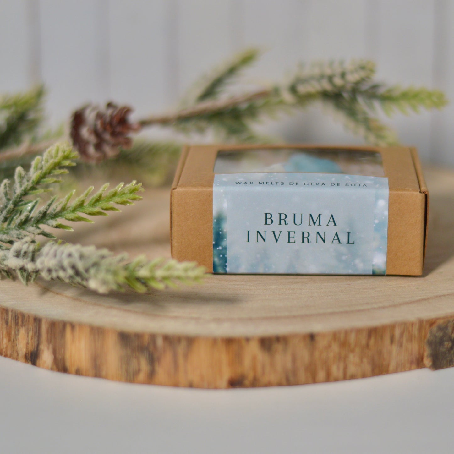 Wax melts · Bruma invernal