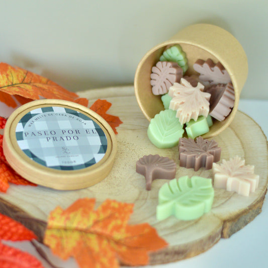 Wax melts · Paseo por el prado