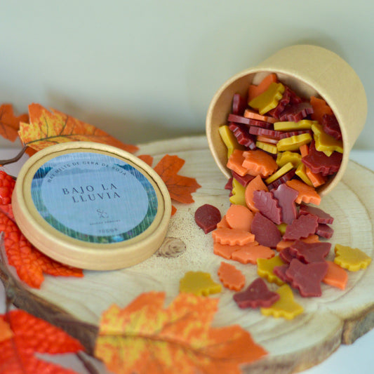 Wax melts · Bajo la lluvia