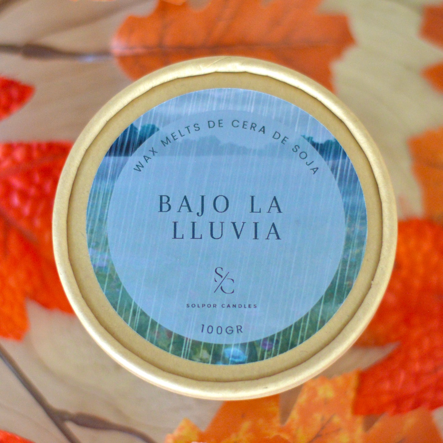 Wax melts · Bajo la lluvia