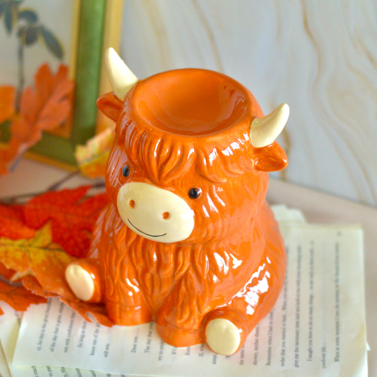 Quemador · Cow