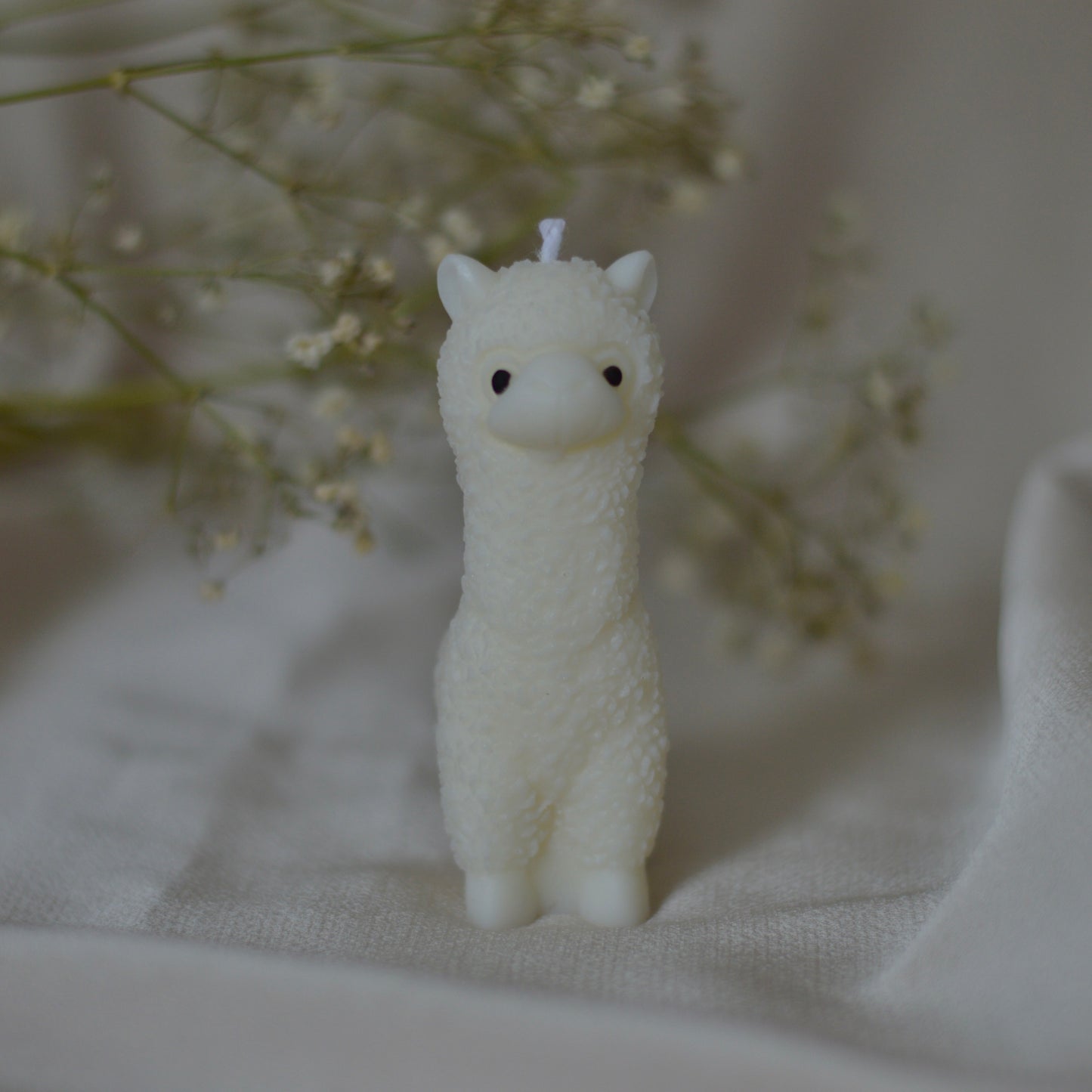 Vela alpaca