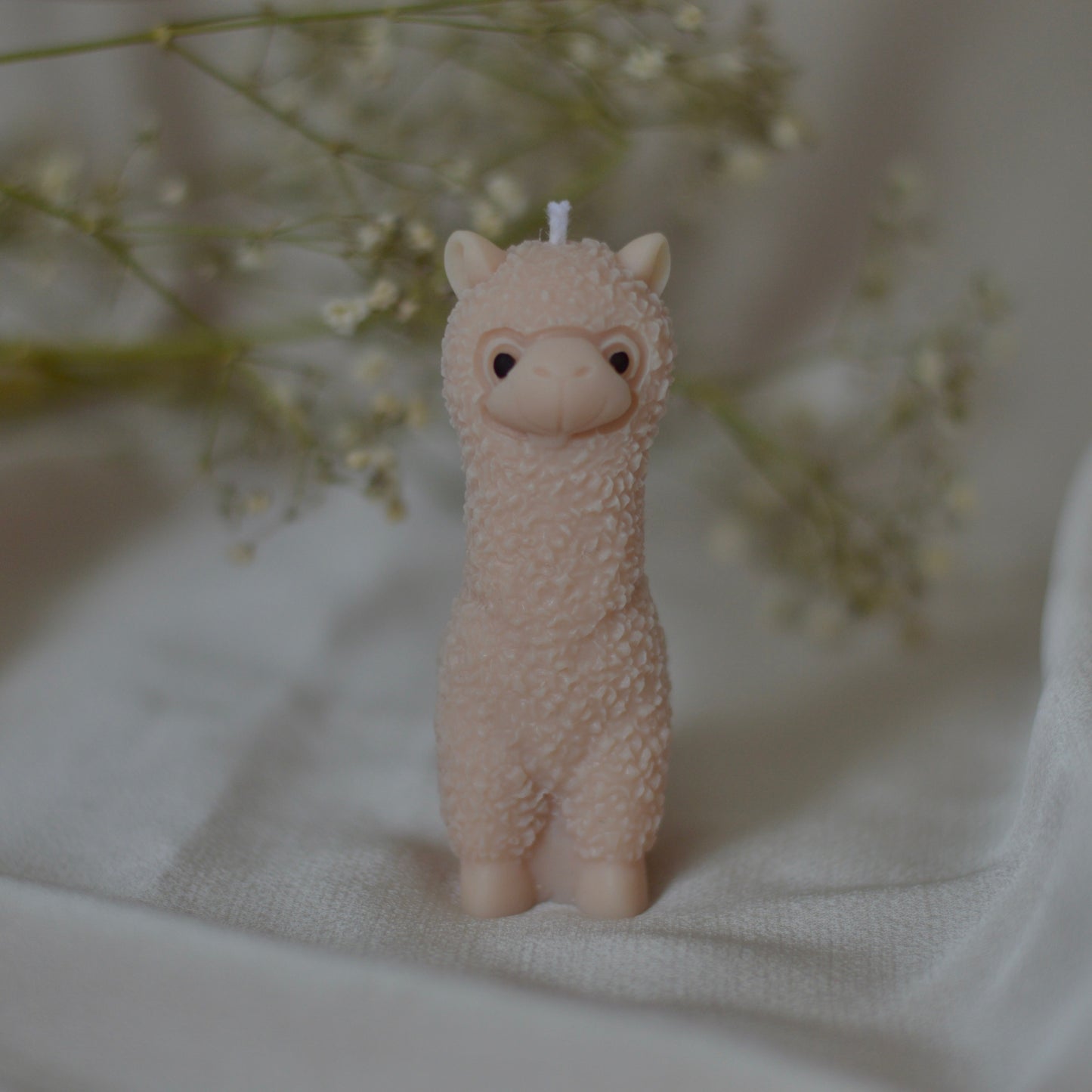 Vela alpaca