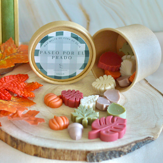 Wax melts · Paseo por el prado